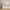 Mercusys Halo H60X – AX1500 Whole Home Mesh WiFi 6 System