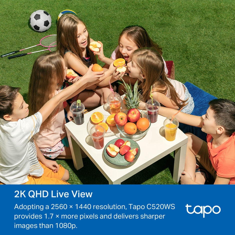 TP-Link Tapo C520WS